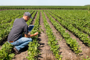 IoT Agriculture