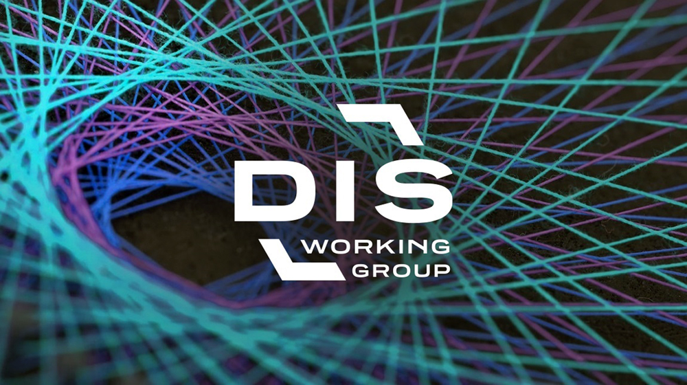 DIS Working Group